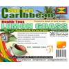 LEMON GRASS - 25 Tea Bags (ORGANIC loose Leaf Tea)