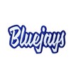 (2" x 4") Bluejays, Embroidered, Iron on Patch (White Twill/Royal
