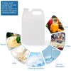 BPFY 2 Pack 1 Gallon Clear Plastic Jugs with Lids,