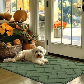 hicorfe Indoor Doormat,Front Back Door Mat Rubber Backing Non Slip Door Mats 32"x48" Absorbent Resist Dirt Entrance Doormat Inside Floor Mats for Entryway Washable Low-Profile (Green)