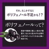 オーガランド (ogaland) アサイ―カプセル (90粒 / 約3ヶ月分) ポリフェノール サプリメント 葉酸 デジタルケア