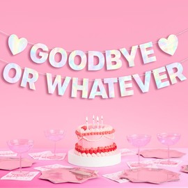 xo, Fetti Goodbye Or Whatever Retirement Banner 5 Ft, Iridescent | Retirement Party Decoration, Goodbye Party Photo Booth Backdrop, Farewell Theme Supplies