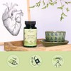 Hawthorn Berry Vegavero® | 700 mg Extract | 100% Organic