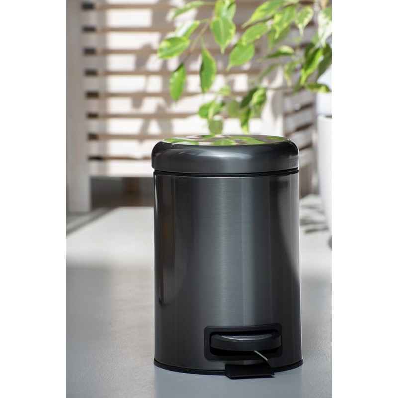 WENKO 3 Litre Anti-Fingerprint Bin, Stainless steel, Black, 17 x