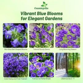 Outsidepride Medium Blue Canterbury Bells Flower Seeds - 5000 Pcs Biennial Easy to Grow Cut Flower Garden Seeds with Charming Bell-Shaped Blooms for Floral Arrangements, Borders, & Cottage Gardens