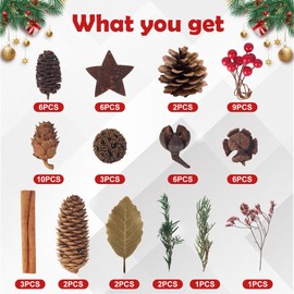 LIAILA 58-Piece Natural Plant Decoration Accessories, Craft Set as Christmas Wreath, Natural Accessories for Plant Decoration, Including Poplar Cones, Maple Cones, Spruce Cones, Birch Bark Stars