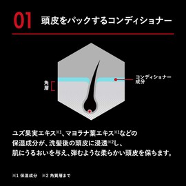 Scalp D Next Protein 5 Scalp Pack Conditioner for Men, Refill, Moisturizing Ingredients, 10.1 fl oz (300 ml), Anfer