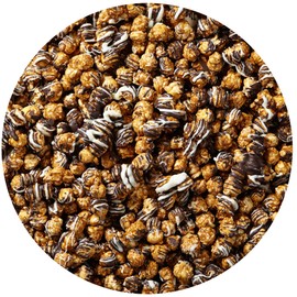 White & Dark Chocolate Swirl Popcorn Tin, 1 Gallon Reusable Tin, Gourmet Popcorn Gift, Birthday Gifts, The Hampton Popcorn & Candy Company (1 Gallon, Hampton Blue Stripes)