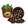 City Pickers Spud Tub Potato Grow Kit – Works Great