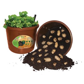 City Pickers Spud Tub Potato Grow Kit – Works Great on Decks and Patios – Low Maintenance & High Potato Yields