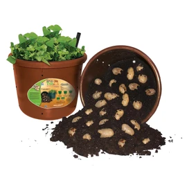 City Pickers Spud Tub Potato Grow Kit – Works Great on Decks and Patios – Low Maintenance & High Potato Yields