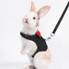 Bunny Harness and Leash for Walking Escape Proof, Mesh Breathable