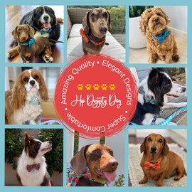 Hip Diggity Dog | Adjustable Padded Dog Collar | Sizes for All Dogs Great and Small | Treat Your Dog to Tail Wagging Comfort and Style (Paisley, XL)