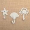 TOPBATHY 3pcs Wall Hooks Sea Star Shape Wall Mounted Decorative