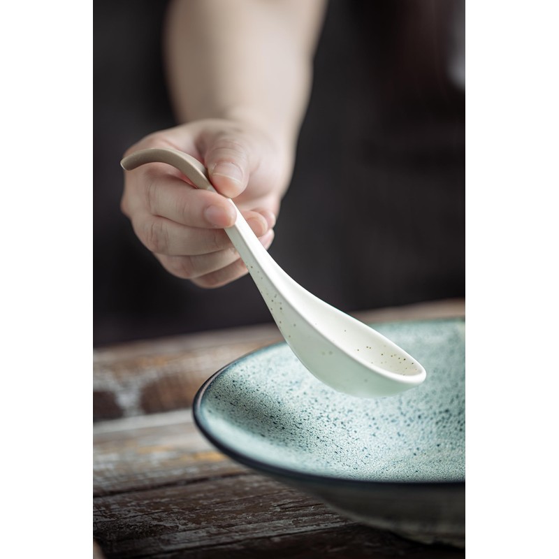 LYEOBOH 6 Pieces Asian Soup Spoons, Japanese Kitchen Soup Spoon