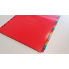 DONAU 7736095PL-99 1-31 Plastic Index Polypropylene DIN A4 230 x