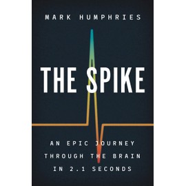 The Spike: An Epic Journey Through the Brain in 2.1 Seconds