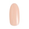 PRE GEL PG-CE889 Color Gel Color EX Pale Beige 0.1