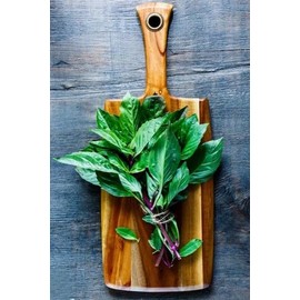 Bonnie Plants Thai Basil, Live Plant, 19.3 oz., 4-Pack