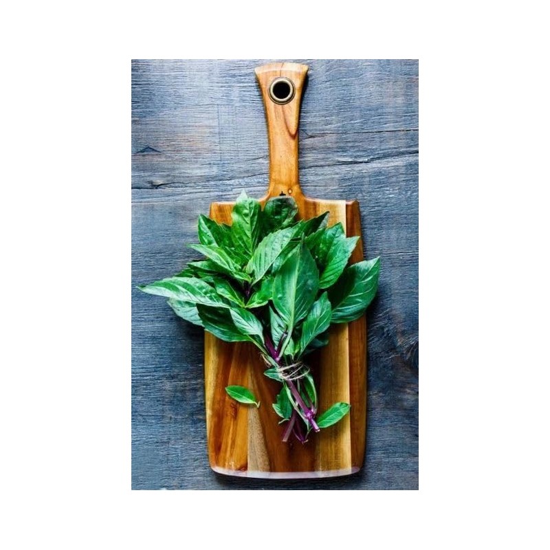 Bonnie Plants Thai Basil, Live Plant, 19.3 oz., 4-Pack