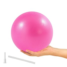 ElwynnLane 9 Inch Exercise Pilates Ball Mini Exercise Barre Ball for Yoga,Stability Exercise Training Gym Anti Burst and Slip Resistant Balls Physical Therapy Improves Balance