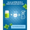 All Natural Peppermint Oil Spray, Non-Toxic Rat Repellent to Repel