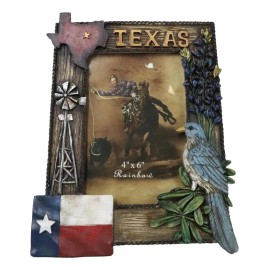 Ebros Gift Rustic Western Patriotic Texas Mockingbird Windmill Bluebonnets Picture Frame