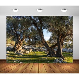 BELECO 20x10ft Fabric Ancient Olive Garden Backdrop Old Olive Trees Greece Countryside Scenery Olive Grove Background Backdrop Photo Booth Studio Props