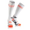 Compressport V2.1 Socks blanco white Size:FR : XL (Taille Fabricant