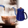 Coffee Kettle Glass Coffee Pot 600ML Coffee Drip Kettle Long