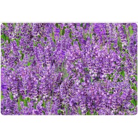 Andreas Silicone TRC-374 Lavender Medley Non-Slip Casserole Trivet/Pot Holder/Hot Pad, 100% Cotton, Dishwasher Safe, Hot Dishes, Protect Hair Iron, Safe up to 600°F