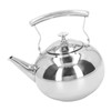 Stainless Steel Teapot Tea Kettle with Removable Filter High Temperature