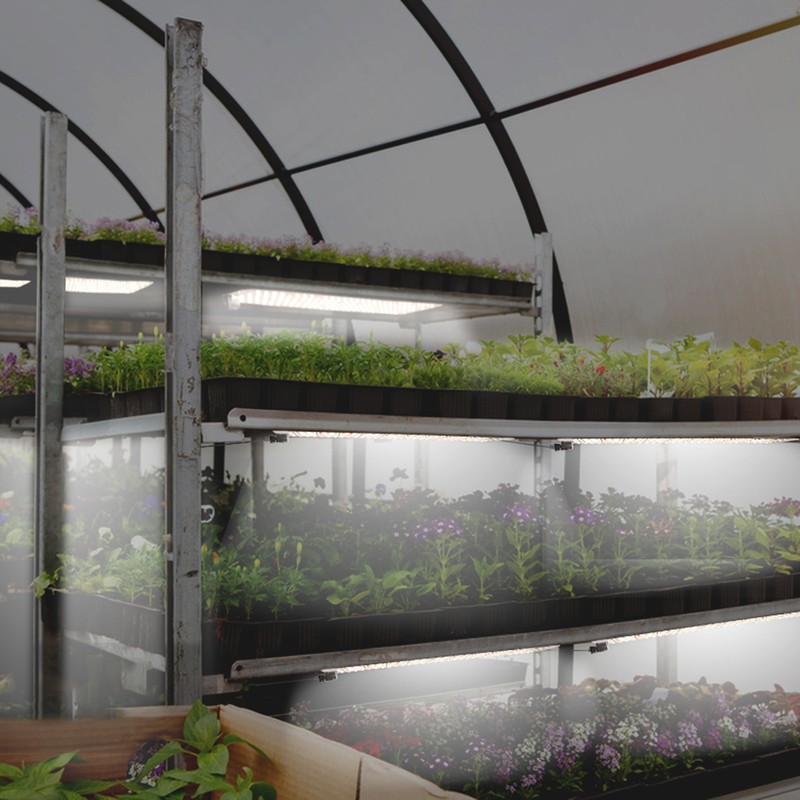 Full Spectrum LED Plant Growth Light Board Supplement Light for