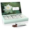 Tea Forte Single Steeps Loose Leaf Tea Sampler, Assorted Variety