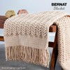 Bernat Blanket BB Stormy Ocean Yarn - 2 Pack of