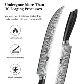 HOSHANHO Carving Kinfe 10 Inch, Forged High Carbon Powder Steel Butcher Breaking Knife, Razor Sharp Curved Brisket Slicing Kinfe for BBQ & Meat Cutting
