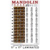 Laminated Mandolin Fretboard Notes & Easy Beginner Chord Chart 11"x17"