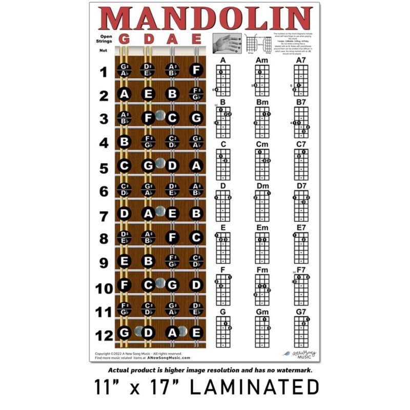 Laminated Mandolin Fretboard Notes & Easy Beginner Chord Chart 11"x17"