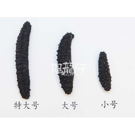 XLSEAFOOD Sun Dried Wild Caught Arctic Sea Cucumber AAA Grade 1 lb large size 美国旭龙行 野生淡干海参 北极冰刺参岩刺参 一级8年参 大号 454克1 lb