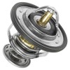 Caltric Thermostat W/ O-Ring for Polaris RZR XP 4 1000