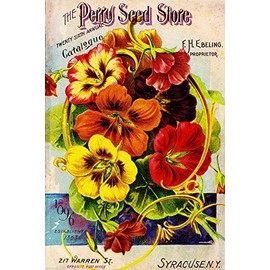 A SLICE IN TIME 1896 Perry Seed Vintage Flowers Seed Packet Catalogue Advertisement Poster