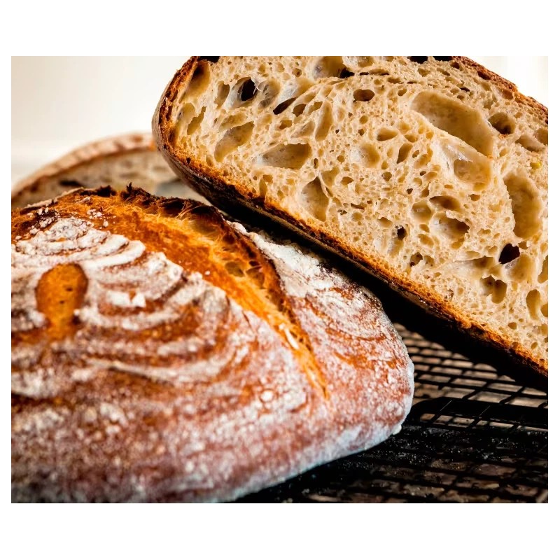 Heritage Sour San Francisco Sourdough Starter Dehydrated Active 200+ YRS