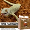 ReptiEarth Fine Reptile Bedding Compressed Block Expands to 72 Quarts