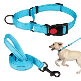 Martingale Dog Collar and Leash Set Martingale Collars for Dogs Reflective Martingale Collar for Small Medium Large Dogs(Sky Blue&S)