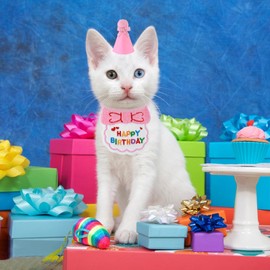 Amaxiu Small Dog Cat Birthday Hat Scarf Set, Cute Pet Birthday Bandana Party Supplies Puppy Happy Birthday Decorations Embroidered Birthday Gift for Girls Boys Kitten Dog(Pink)