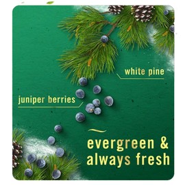 Generic Febreeze Fall Winter Limited Edition Room Spray, Special Edition for Fall Scents & Winter Scents | 3 pack of Air Effects Room Spray (White Pine & Juniper Berry)