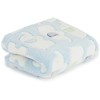 Bieco Cuddly Blanket Various Designs Approx. 90 x 75 cm