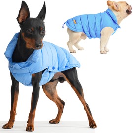 QUEEICE Warm Dog Down Puffer Jacket,Filled Nature Duck Down,Packable Lightweight Water-Resistant Puffer Jacket for Dog,Cold Weather Winter Coats for Dog,Classical Style(Powder Blue, M)