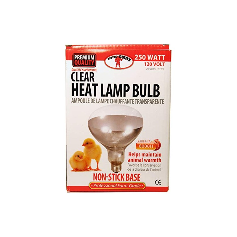 Little Giant® Bulb for Brooder Lamp | Heat Lamp |