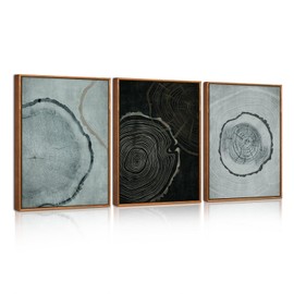 HPNIUB Tree Ring Canvas Pictures in the Frame, Modern Wall Decoration Made of Beige Wooden Trunks, Black/Grey Tree Spiral Wall Painting, Neutral Nature Art for Living Room, Bedroom or Office, 12 x 16